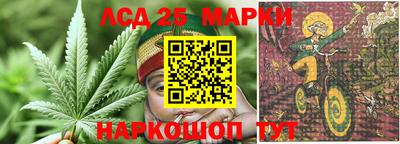 амф Кандалакша