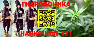 амф Кандалакша
