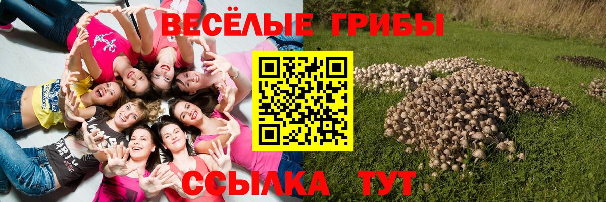 Галлюциногенные грибы мицелий Лангепас