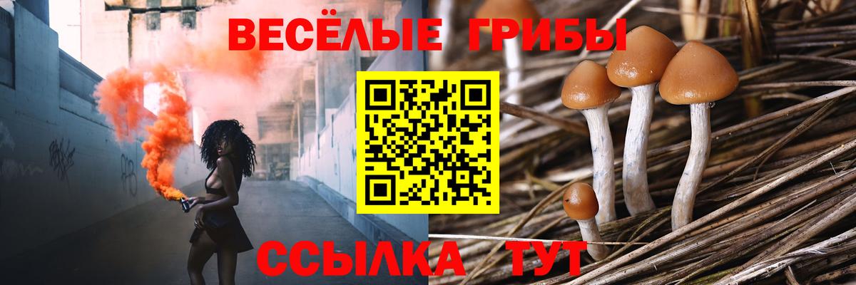наркотики  Галлюциногенные грибы Psilocybe  Вход с VPN  Лангепас 